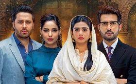 Dizi 'Yalnız Karar'