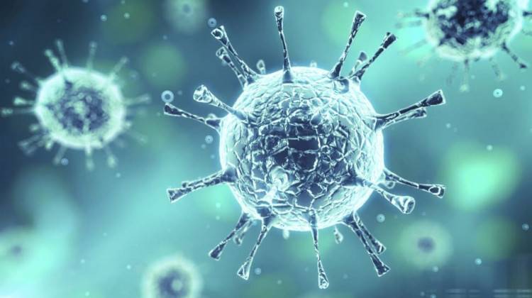 Sağlık Bakanı Koca Corona Virüsle İlgili Son Durumu Açıkladı