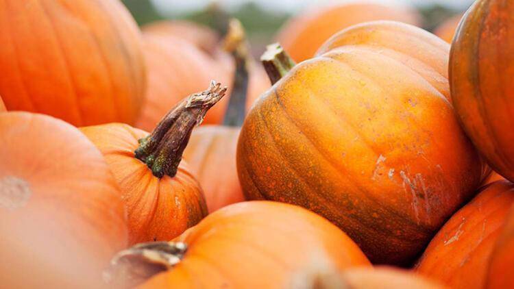 Sonbaharda hangi besinleri tüketmeliyiz?