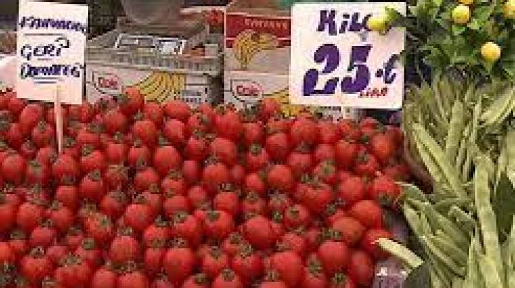  Sebze ve meyve fiyatları yarı yarıya düşecek