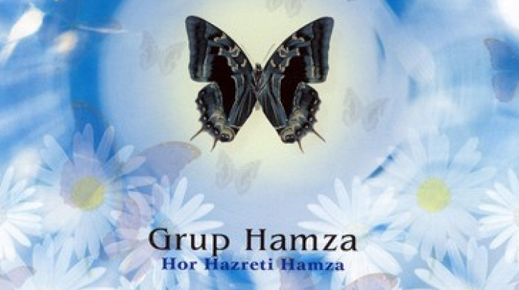 Grup Hamza