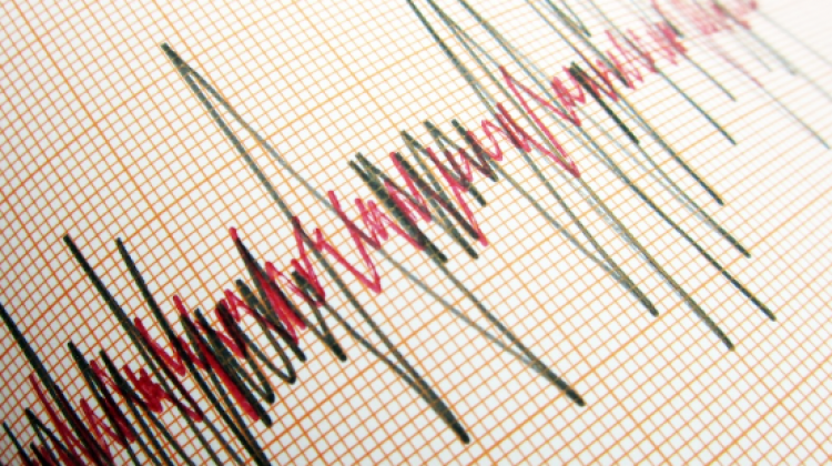 Marmara Denizi'nde 5 büyüklüğünde deprem!